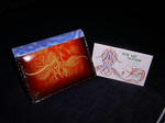 DSCN2916.JPG