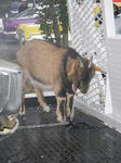 DSCN3292.JPG