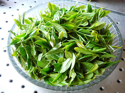 お茶の葉