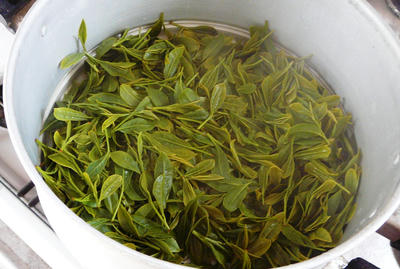 茶を蒸す