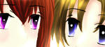 sm001.jpg