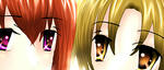 0038b303.jpg