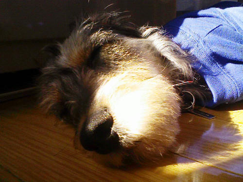 NEC_0032.JPG