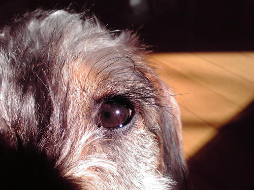 P1010009.JPG