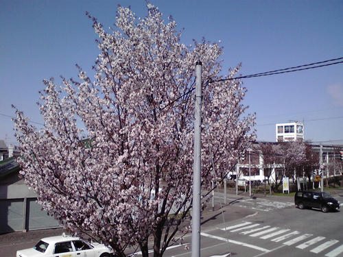 P1010041.JPG