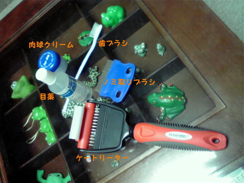 P94.JPG