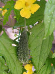 IMG_1720.JPG
