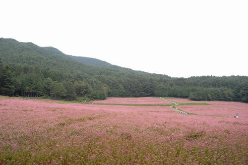 akasoba1.JPG