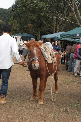 09.11.28waranaya3.JPG