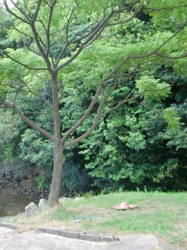 10.8.6amakubo2.jpg