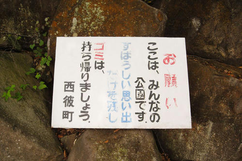 11.6.8seihicyo6.JPG