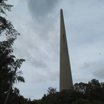 2011.8.14hario1.JPG