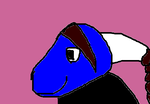 fimg_1228407074.png