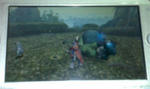 mhpg006.jpg