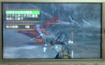 mhpg011.jpg