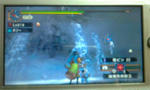 mhpg018.jpg