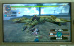 mhpg021.jpg