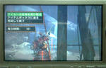 mhpg040.jpg