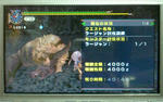 mhpg052.jpg