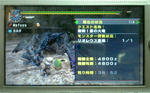 mhpg110.jpg