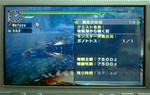 mhpg118.jpg