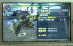 mhpg135.jpg