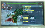 mhpg161.jpg