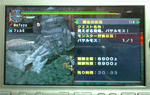 mhpg163.jpg