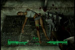 fo12.jpg