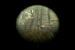 fo13.jpg