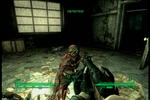 fo19.jpg