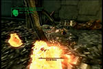 fo24.jpg