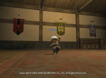 ff64.jpg