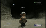 ff137.jpg