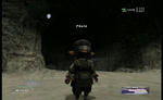 ff138.jpg