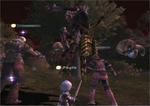 ff145.jpg