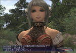 ff171.jpg