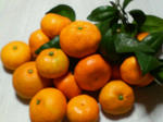 P1000065.JPG