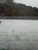 P1000083.JPG