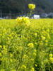 P1000085.JPG