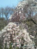 P1000104.JPG