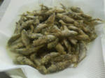 P1000114.JPG