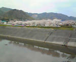 NEC_0076.JPG