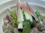 NEC_0090.JPG