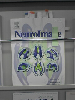 neuroimae