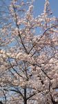 20100404154019.jpg