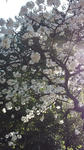 20100404154519.jpg