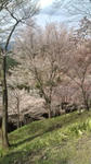 20100406145708.jpg