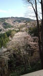 20100406151507.jpg