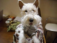 IMGP0292.JPG